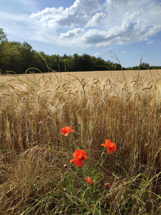 Maison De Campagne Avec Grand Parking Prive -Calme Et Serenite Chevincourt Eksteriør bilde